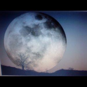 Meet your Posher, Zua